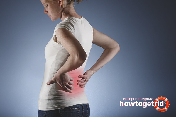 Comment améliorer la fonction rénale