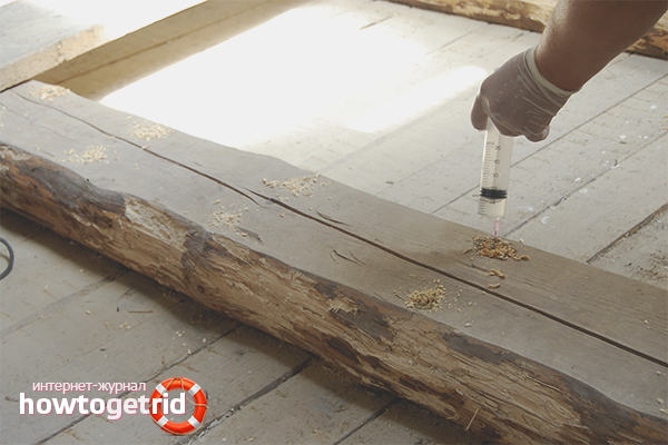 Lutte contre le scolyte