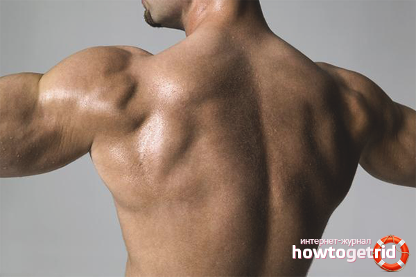 Comment construire des ailes