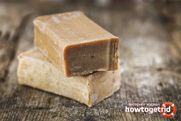 Savon domestique de moisissure sur les vêtements