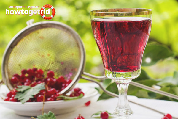 Vin de groseille rouge