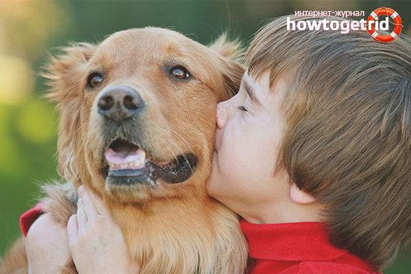 Comment convaincre les parents d'acheter un chien