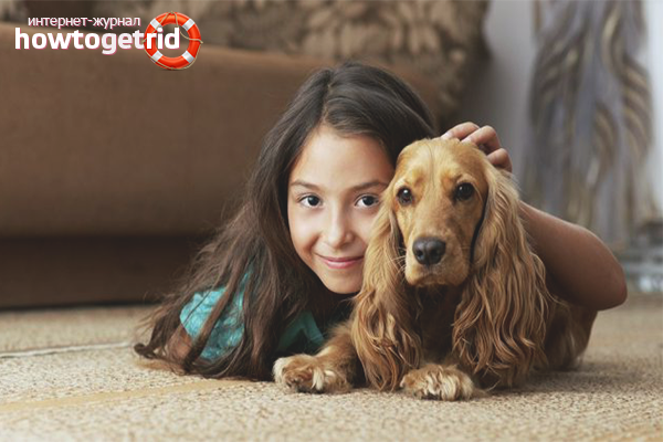 Comment persuader les parents d'avoir un chien