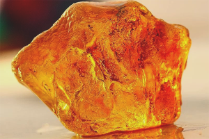 Comment distinguer l'ambre d'un faux