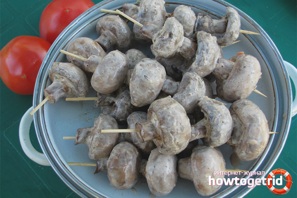 Champignons marinés à la crème sure