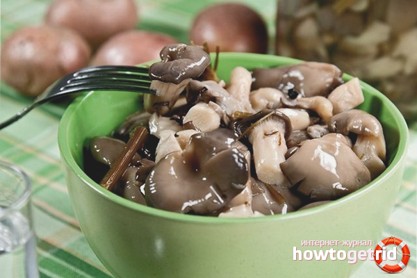 Comment mariner les pleurotes