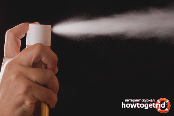 Remèdes professionnels pour la lutte contre les punaises de lit