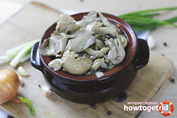 Champignons pleurotes à la coriandre et au thym