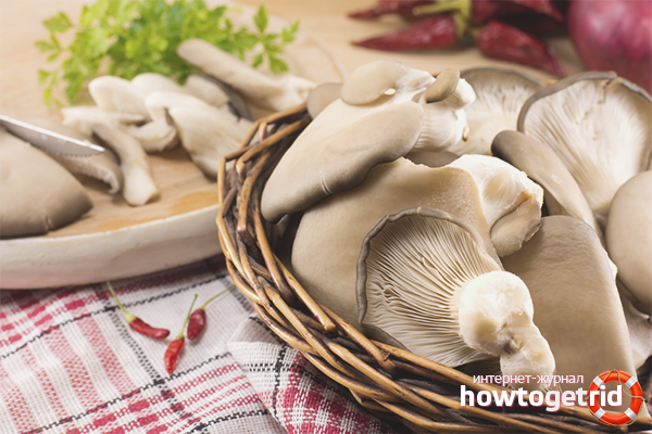 Un moyen rapide de mariner les pleurotes