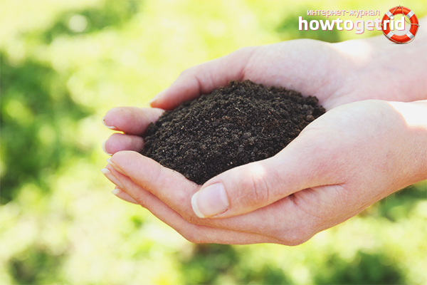 Comment rendre le sol fertile