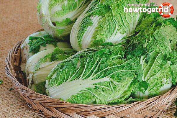 Les bienfaits de la salade chinoise pour les filles enceintes