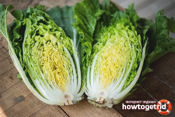Les bienfaits de la salade chinoise pour perdre du poids