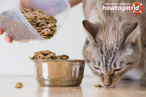 Aliments secs pour chats stérilisés