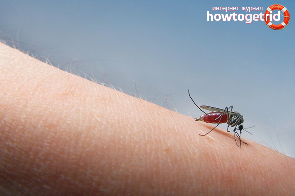 Comment enduire les piqûres de moustiques