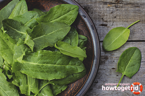 Les avantages et les inconvénients de l'oseille