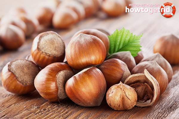 Les avantages et les inconvénients des noisettes
