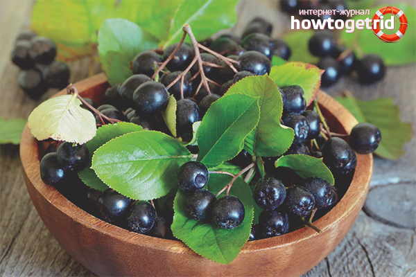 Les avantages et les inconvénients de l'aronia