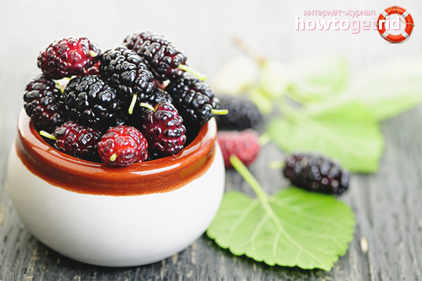 Les avantages et les inconvénients du mûrier