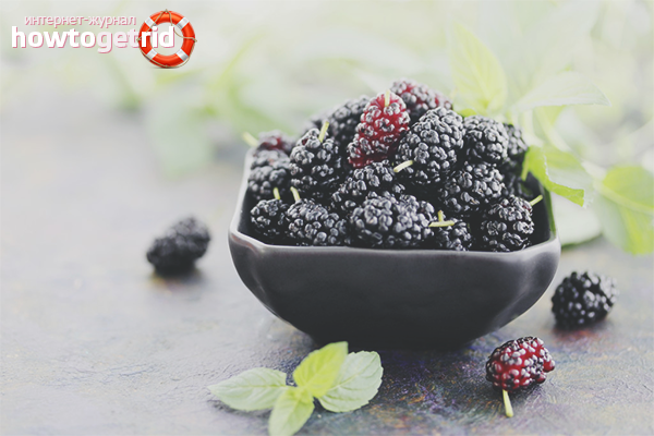 Les bienfaits du mûrier pour les enfants