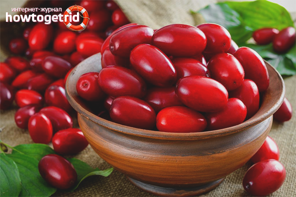 Les avantages et les inconvénients du cornouiller