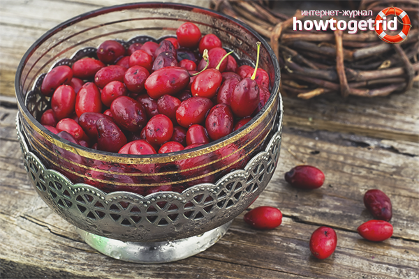 Avantage cornouiller