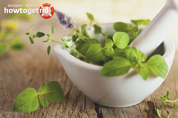 Herbes toniques pour augmenter la pression