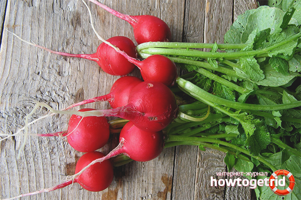 Consommation de radis