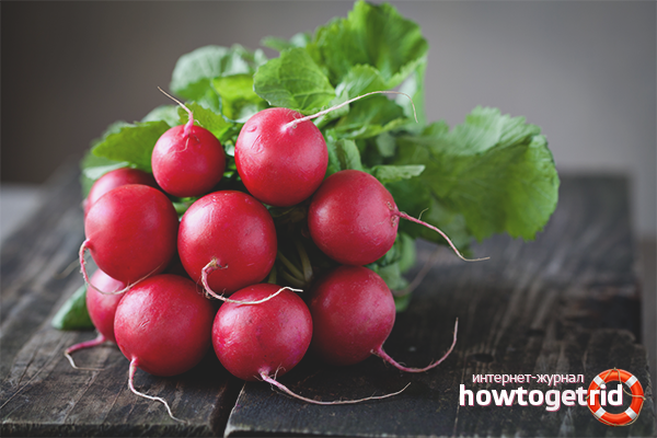 Les avantages et les inconvénients des radis