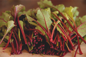 Les avantages et les inconvénients des betteraves