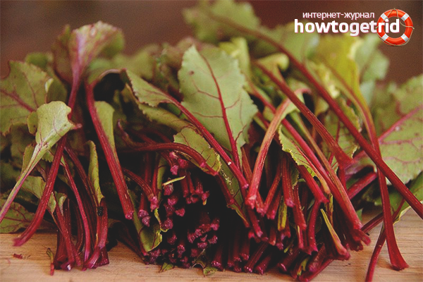 Les avantages et les inconvénients des betteraves