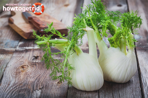 Les propriétés curatives du fenouil