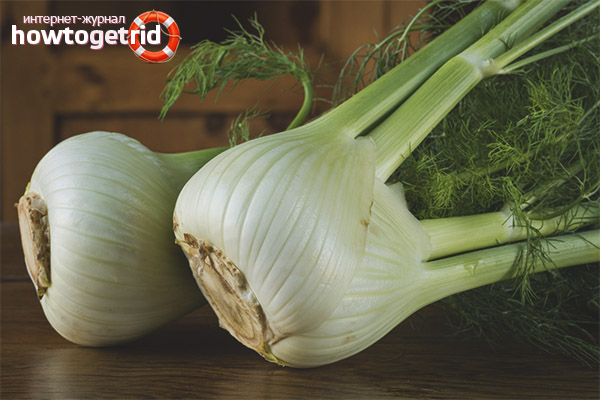 Fenouil en médecine populaire