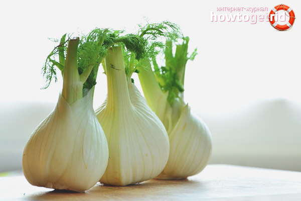 Propriétés et contre-indications utiles du fenouil