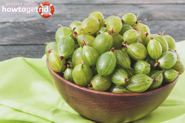 Groseilles à maquereau pendant la grossesse