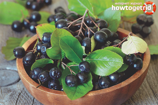 Propriétés et contre-indications utiles du sorbier noir