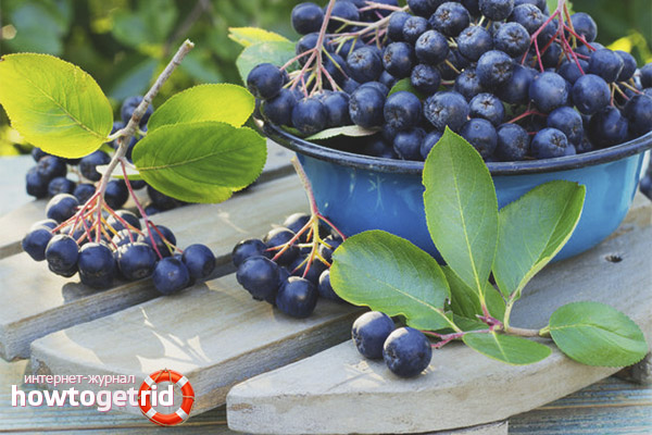 Règles de consommation Rowan