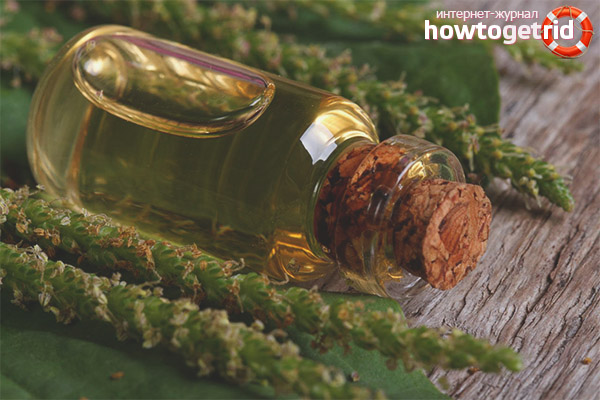 Recettes de plantain pour diverses maladies