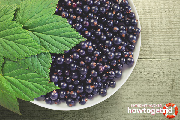 Cassis pour les enfants