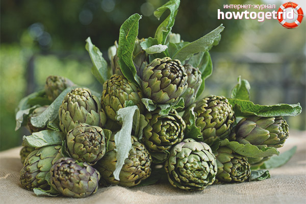 Comment être traité avec des artichauts