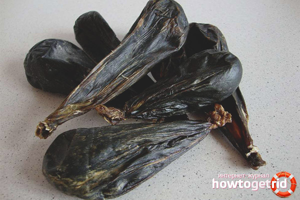 Propriétés médicinales et contre-indications de la bile d'ours