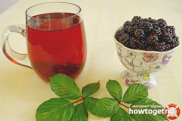 Décoctions folkloriques de feuilles de mûre