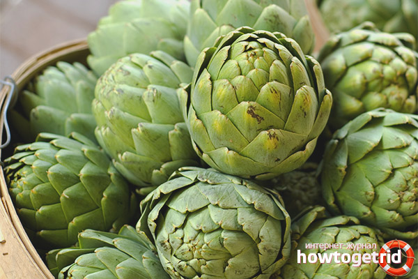 Propriétés et contre-indications utiles de l'artichaut