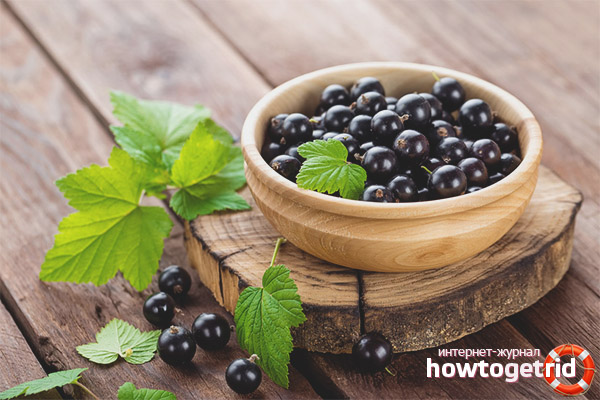 Propriétés et contre-indications utiles du cassis