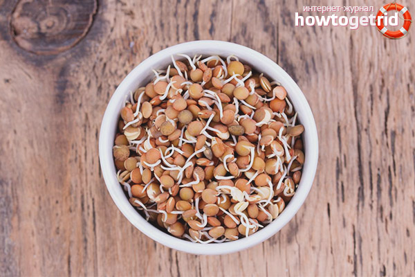 Les avantages et les inconvénients des lentilles germées