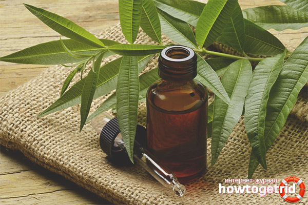 Huile essentielle d'arbre à thé