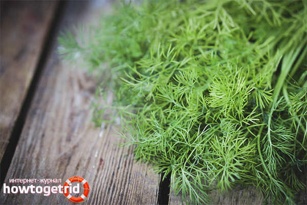 Comment augmenter la lactation avec de l'aneth