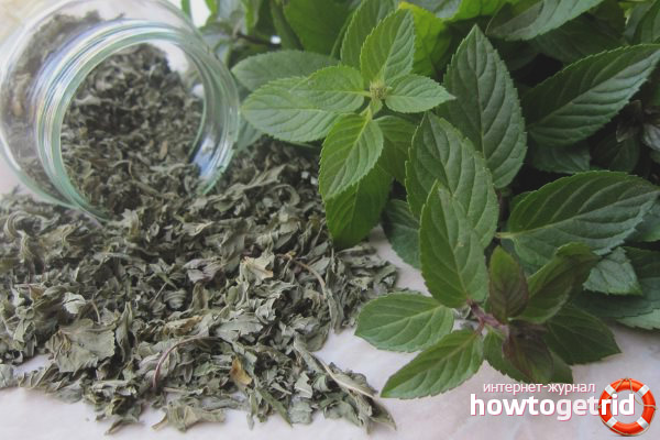 Comment sécher la menthe poivrée