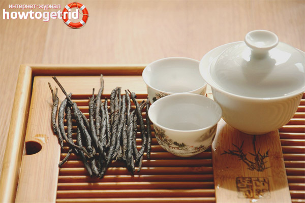 Propriétés utiles du thé kudin