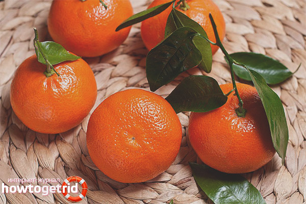 Contre-indications Mandarin pour l'allaitement maternel