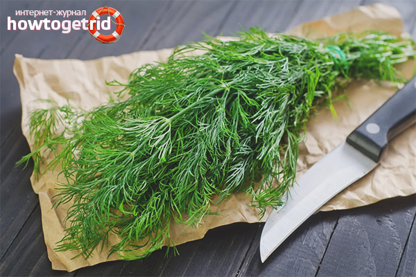 Contre-indications à l'aneth pour l'allaitement